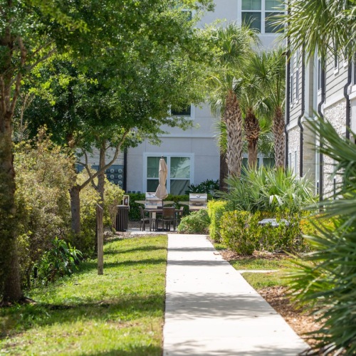 walking path with trees and plants