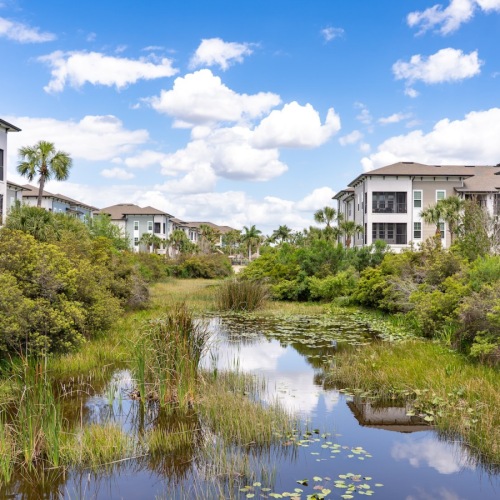 pond with apartments